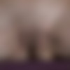 [RylskyArt.com]     2020  (215 ) [2012-2020, Solo, Posing, Nude, 720p, 1080p, SiteRip] thumb