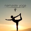 Namaste Yoga S01 1080p AMZN WEB-DL DDP2 0 H 264-PlayWEB thumb