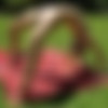 [ALSScan.com / ALSAngels.com] Kali Renee (Photoshoot / UHD #002 / 2017-07-18) [2017 ., Teen, Blonde, Photoshoot, Masturbation, Medium Boobs, Shaved Pussy, Posing, Solo, Outdoor, Dildo, 2160p] thumb