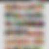 [StudentSexParties.com] Full Siterip 434 Videos (FEB 2018) thumbnail