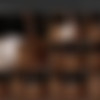 [Spytug.com] - Siterip - Lesbian Pack - 1080p thumb