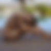 [FemJoy.com] 2020-07-11 Cosmo - By The Pool [posing, outdoors] [1080p, HDRip] thumb