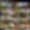 [REQ] PegasProductions.com // complete site-rip // 245 scenes thumbnail