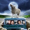 Black Sheep [2007] / H264 / MKV / Blu-ray / 720p / AC3 / Subs thumb