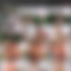 [BangBrosRemastered.com / BangBros.com] Gianna Michaels, Naomi Russell (Remastered: Double Stack, (On a Big Bouncy Trampoline!!!) / rm11227) [Big Ass, Blowjob, Cumshot, Facial, Handjob, Hardcore, Natural Tits, Pornstar, Threesome, White] thumb