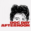 Dog Day Afternoon [1975] / H264 / MKV / Blu-ray / 720p / AC3 / Subs thumb