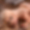 Onlyblowjob.com - Sienna Day ( Deep Throat vs Deep Sleep ) thumbnail