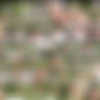 [WOWGIRLS.COM] Image siterip, 622 sets [2018, 2019] thumb