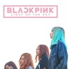 BLACKPINK: Light Up the Sky [2020] / H265 / MKV / WEB / 2160p / AC3 / Subs / NYH thumb