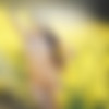 [Watch4Beauty.com] 2014-06-15 Paula Shy - Colza field [ Erotic, 1080p] thumb