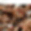 [HouseOfTaboo.com / DDFProd.com] Sasha Rose, Linet, Denisa Heaven (Neapolitan spank party! [Part 2] / 401p2) [2011 ., Lesbo, 3Some, Masturbation, Shaved pussy, Vibrator, Strap-on, Anal insertion, Bondage, Domination, Face sitting, 720p, HDRip] thumbnail