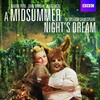 A Midsummer Nights Dream 2016 1080p BluRay x264-OFT thumb