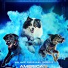 Americas Top Dog S01 1080p AMZN WEB-DL DDP2 0 H 264-NTb thumb