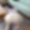 Instant Sex With A Fair-skinned Housewife With A Big Ass! The Married Woman Who Was Addicted To My Big Dick Came Over The Next Day Without Permission, So I Creampied Her Many Times Until She Was Satisfied 34 Akari Niimura [DVMM-135] (Satou Tamao, Deeps) [cen] [2024 ., Creampie, Masturbation, Big Tits, Blowjob, SiteRip] [1080p] thumb
