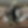 [MilfVR.com] Tricia Oaks - Tricia's Treat [2021-08-26, Big Cocks, Blowjob, Closeup Missionary, Couples, Cowgirl, Cum In Mouth, Cumshot, Doggy Style, Hardcore, Kissing, Living Room, Mini Skirt, Missionary, Nude, POV, Reverse Cowgirl, SideBySide, 3600p, SiteRip] [Oculus Rift / Vive] thumb