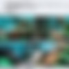 [ClinicalTorment.com] All Videos, 2014-2015 thumbnail