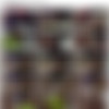 [Onlyfans.com] Michelle Thorne thumbnail