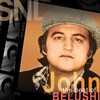 Saturday Night Live The Best of John Belushi 2005 480i DVDRip DD H264 thumb