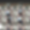 AlasFeet.com [2015] SiteRip thumbnail