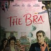 The Bra 2018 1080p WEBRip DDP 5 1 H 265 -iVy thumb