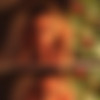[CeCeSeptember.com/Manyvids.com] CeCeSeptember Siterip + Manyvids Videos (73 videos) thumbnail