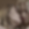 [PlayboyPlus.com] 2020 Alice Shea & Demi Fray - Table For Two 08.02.20 [Erotic] [1080p] thumb