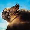 IMAX: Galapagos 3D [1999] / H264 / MKV / Blu-ray / SD / AC3 / Subs thumb