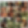 Geil Mit 40 Vol.1,2,3,5,16 /   40 [2000 .] thumb