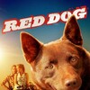 Red Dog [2011] / H264 / MKV / Blu-ray / 1080p / DTS / Scene / aAF thumb