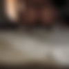 cynegetic Tumblr Rip thumb