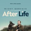 After Life S02 1080p WEB x264-GHOSTS thumb