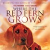 Where the Red Fern Grows 1974 720p Upscaled DVDRip x265-DPK thumb