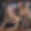[backdoorlesbians.com / ferronetwork.com] (27.04.2013/g656) Denis & Barbara [lesbo,anal,Hardcore,pantyhose,fetish,720p] thumbnail