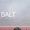 Salt [2009] / H264 / MKV / Blu-ray / 720p / AC3 / Subs / SFT thumb