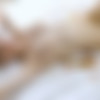 [AmourAngels.com] 2020-11-02 Samara - Super Yummy [Solo] [1080p] thumb