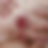 [AnalVids.com / Legalporno.com / PornBox.com / PissVids.com] Rebel Rhyder - Art Gallery wet, 9 on 1 ATM, DAP, DP, Milk Stuff, TAP, TP, Gapes, ButtRose, Pee Drink, Squirt, Facial GIO2352 (2023-02-27) [2023, anal, ass to mouth, big tits, deep throat, double anal (DAP), double penetration (DP), double vaginal (DPP), facial, gangbang, gapes, interracial, piss, piss drinking, prolapse, slapping, squirting, triple penetration, pee, cumshot, 4K, 2160p] thumb