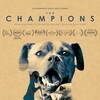 The Champions [2015] / H264 / MKV / WEB / 1080p / AC3 / Subs / playWEB thumb