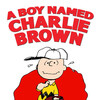 A Boy Named Charlie Brown [1963] / H264 / MKV / DVD / SD / AC3 / MMENDES thumb