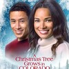 A Christmas Tree Grows in Colorado 2020 1080p AMZN WEB-DL DDP2 0 H 264-NTb thumb