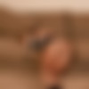 [cinchedandsecured.com] Cinched and Secured /    (23 ) [2016-2018 .., BDSM, Bondage, 720p (Part 2)]  16   09.08.2018 thumbnail