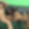 [HoneyTrans.com] Beatriz Oliveira & Thaysa Lopes Thick Horny Trans Hotties Enjoy Deep Intense Anal Sex (Sep, 2024) [2024 ., Shemale On Shemale, Transsexual, Latina, Blowjob, Anal, Cumshot, 1080p, SiteRip] thumb