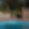 [Errotica-Archives.com / MetArt.com] Shayla (Pool / 18.03.18) [2018 ., Erotic, Posing, Solo, 1080p] thumb