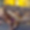 [VivThomas.com / MetArt.com] Arian & Eveline Dellai (The Road Goes On Reloaded Episode 1 - Frolic) [2016 ., Lesbian sex, Dildo, Kissing, Fingering, Cunnilingus, Red Hair, 2160p, 4k] thumb