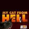 My Cat From Hell S05 720p HDTV DD5 1 x264 thumb