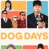 Dog Days [2024] / H264 / MKV / WEB / 1080p / AAC / Korean / tG1R0 thumb