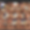 Shay Fox Megapack thumbnail