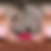 [VRcosplayX.com] Anna Claire Clouds - Wicked Glinda A XXX Parody [21.11.2024, Babe, Blonde, Blowjob, Cowgirl, Doggy Style, Facial, Missionary, Movie, Reverse Cowgirl, Small Tits, Virtual Reality, SideBySide, 8K, 4096p, SiteRip] [Oculus Rift / Quest 2 / Vive] thumb