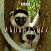 Sir David Attenborough Madagascar 2011 BDRip XviD-HAGGiS thumb