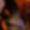 [PartyHardcore.com / Tainster.com] Party Hardcore Gone Crazy Vol. 25 Part 1 (2016-02-08) [Lesbian, Blowjob, Amateur porn, Amateur girls, 720p] thumb