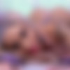 [SwallowBay.com] Danae Marie - Danae's Lavender Cream Puffs 8K thumb